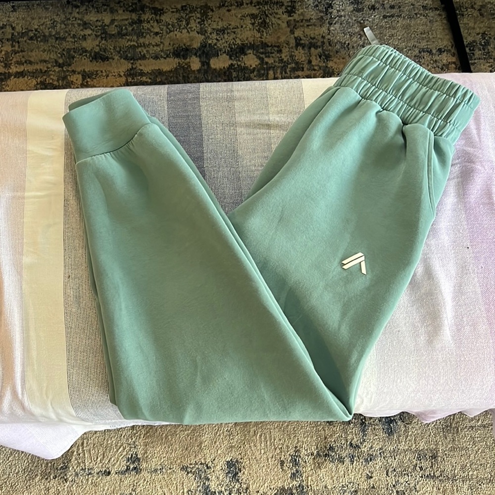 🎉HP🎉Alphalete Women’s Elements Jogger